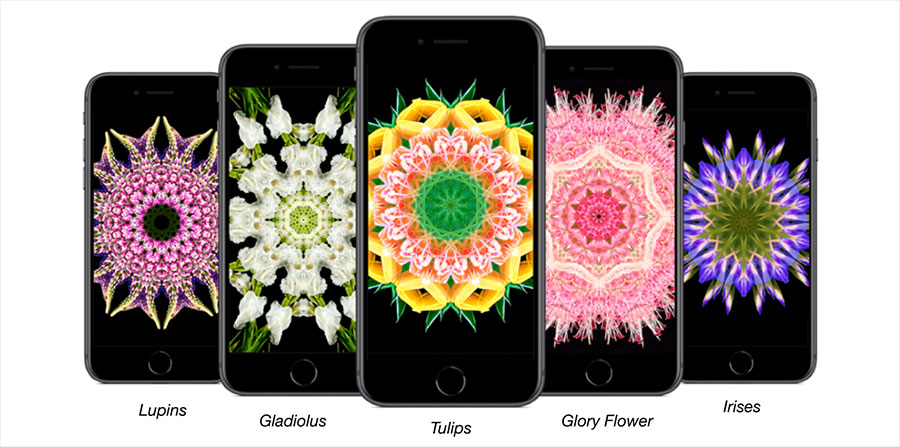 Moodlapse : Some of the flowers available on the iphone relaxation app